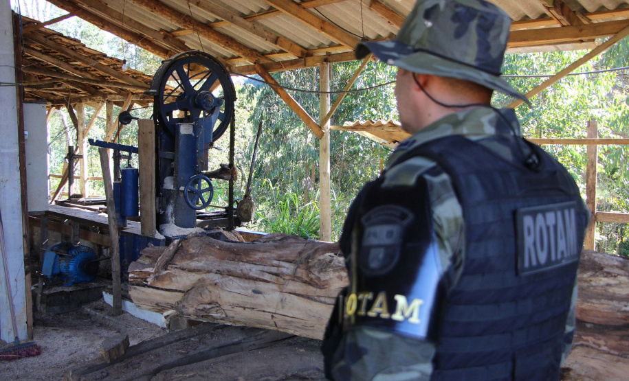 Polícia Militar apreende mais de 490 metros cúbicos de madeira ilegal durante operação