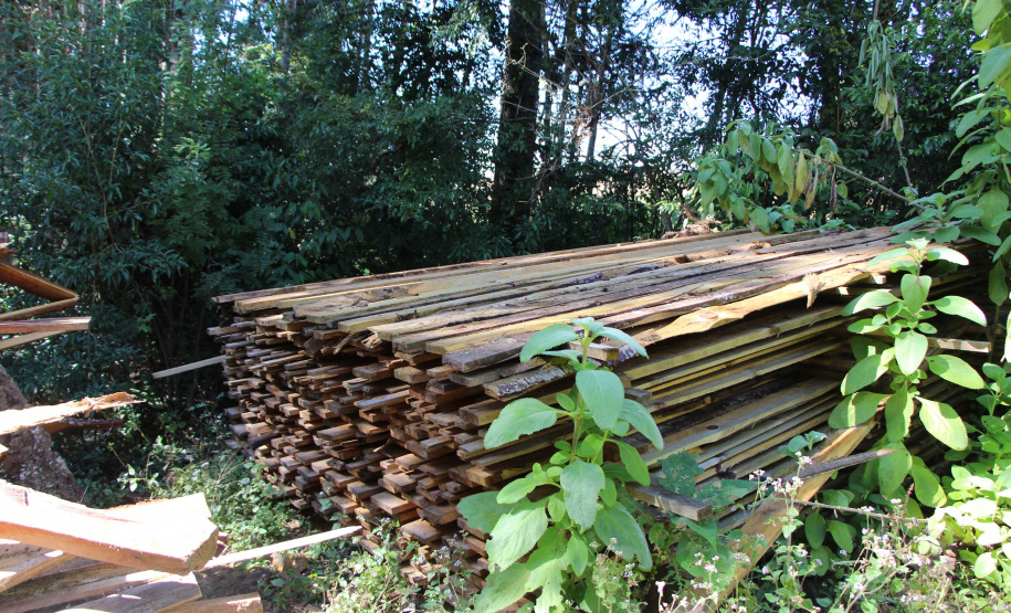 Polícia Militar apreende mais de 490 metros cúbicos de madeira ilegal durante operação