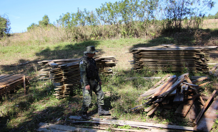 Polícia Militar apreende mais de 490 metros cúbicos de madeira ilegal durante operação
