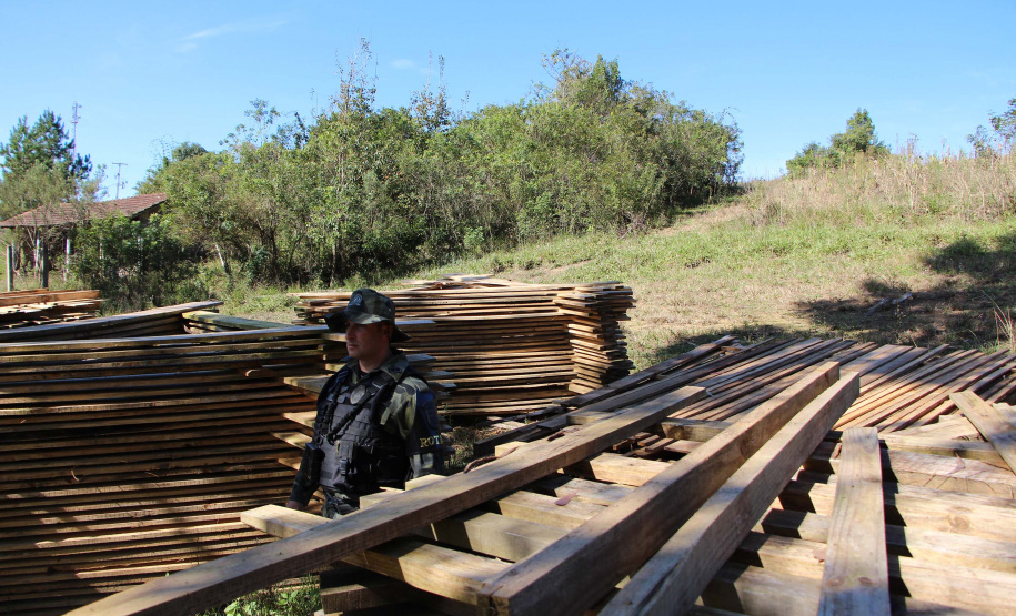Polícia Militar apreende mais de 490 metros cúbicos de madeira ilegal durante operação