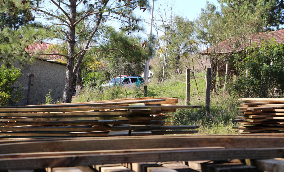 Polícia Militar apreende mais de 490 metros cúbicos de madeira ilegal durante operação