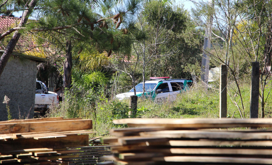 Polícia Militar apreende mais de 490 metros cúbicos de madeira ilegal durante operação