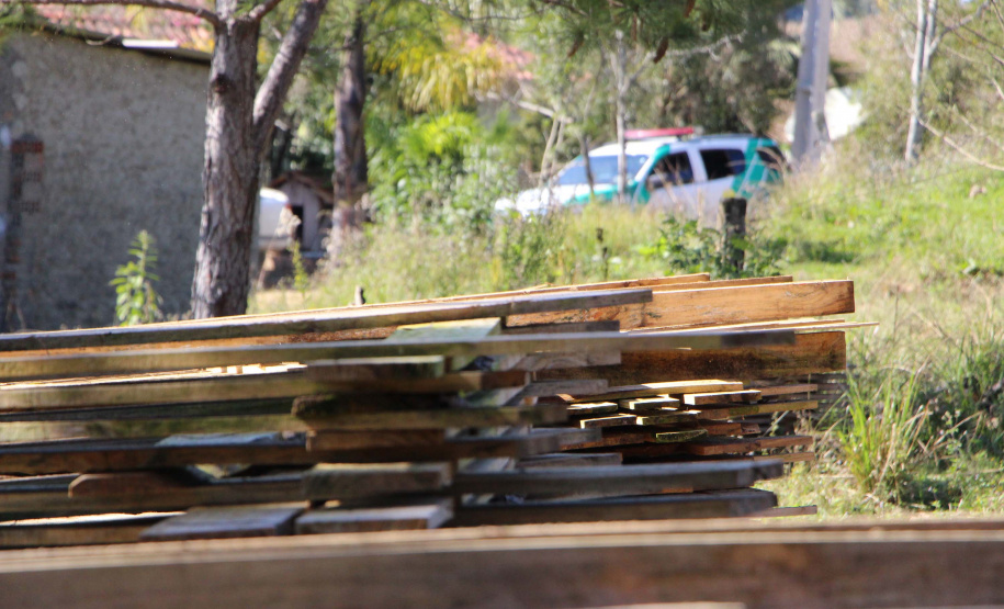 Polícia Militar apreende mais de 490 metros cúbicos de madeira ilegal durante operação