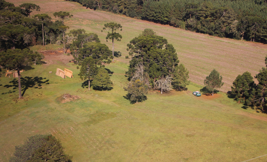 Polícia Militar apreende mais de 490 metros cúbicos de madeira ilegal durante operação