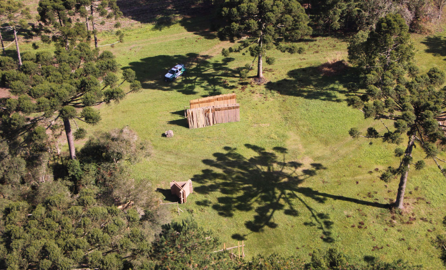 Polícia Militar apreende mais de 490 metros cúbicos de madeira ilegal durante operação