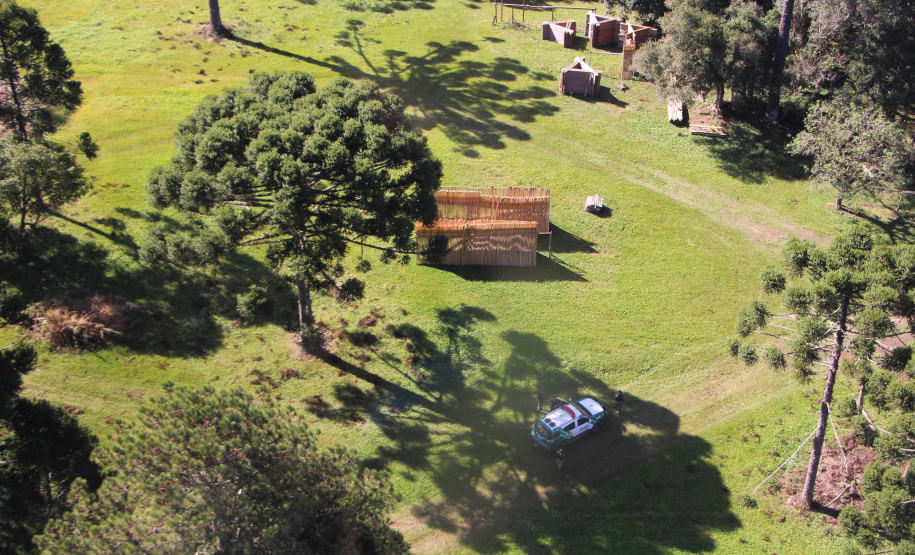 Polícia Militar apreende mais de 490 metros cúbicos de madeira ilegal durante operação