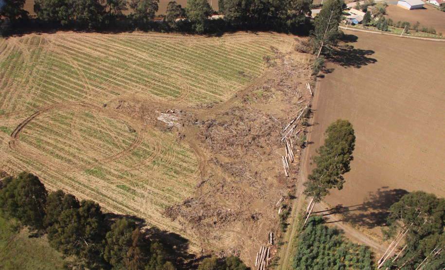 Polícia Militar apreende mais de 490 metros cúbicos de madeira ilegal durante operação