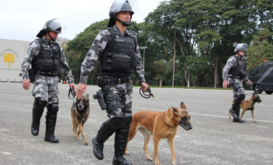 Comando de Missões Especiais da PM comemora primeiro ano de atuação no Paraná