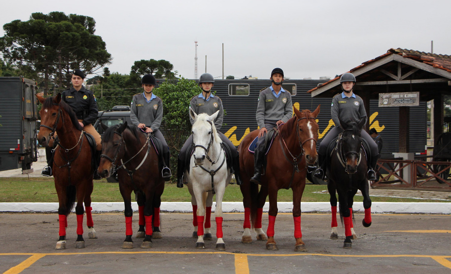 Unidade mais antiga da Polícia Militar, Regimento de Polícia Montada completa 144 anos