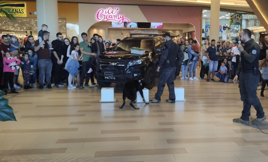 PCPR na Comunidade atende mil pessoas em evento de conscientização sobre drogas na Capital