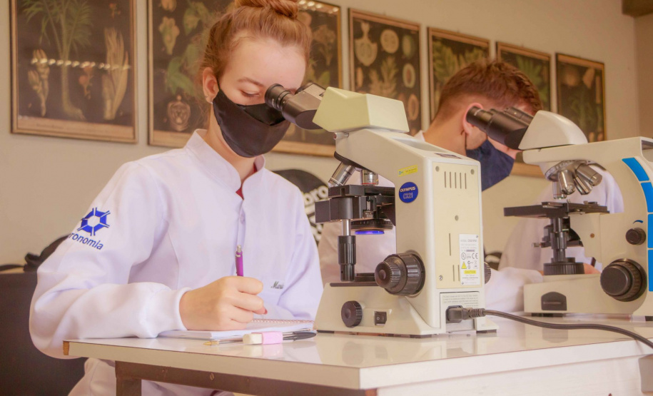 Governo libera R$ 4,4 milhões para fortalecer a produção científica e tecnológica paranaense