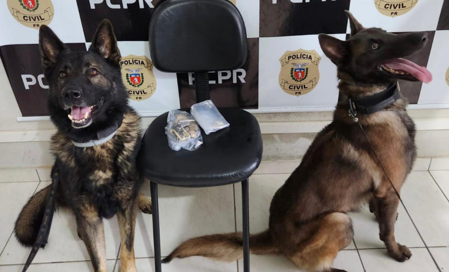 PCPR prende três pessoas em operação contra tráfico de drogas em Jaguariaíva