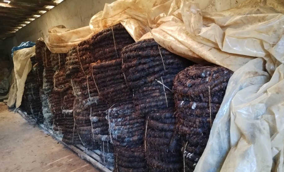 Receita Estadual emitiu neste ano 1.705 autos de infração para recuperar R$ 666,2 milhões