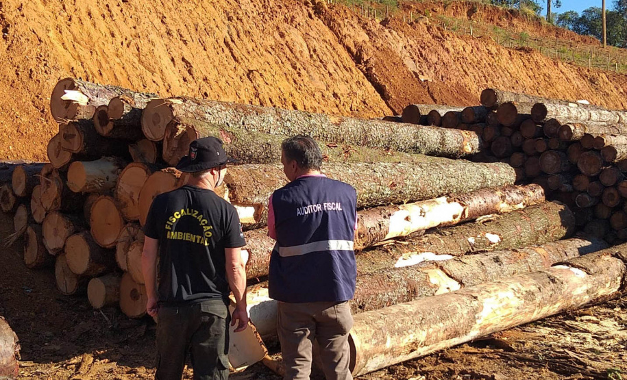 Receita Estadual emitiu neste ano 1.705 autos de infração para recuperar R$ 666,2 milhões