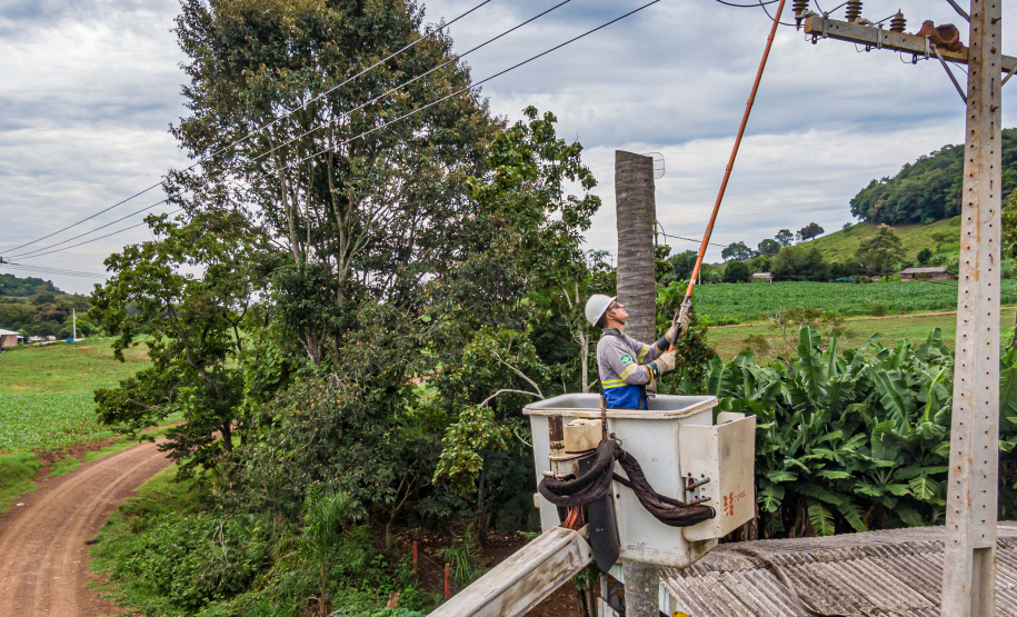 Paraná Trifásico entrega 12,5 mil km de novas redes e alcança 50% do programado