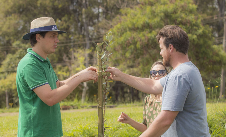 Ranking coloca UEPG entre melhores do Paraná em Objetivos de Desenvolvimento Sustentável