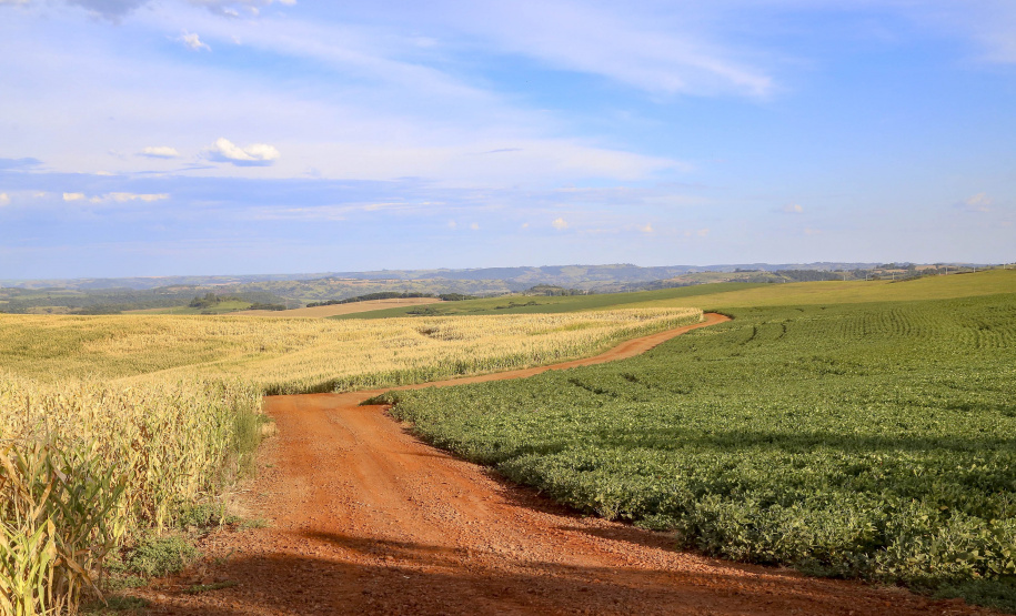 Produção de grãos na safra 2022/2023 deve chegar a 46,6 milhões de toneladas no Paraná