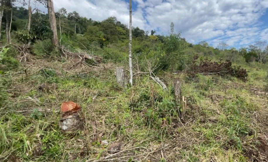 Fiscais do Instituto Água e Terra (IAT) detectaram 245,42 hectares de vegetação nativa retirada ilegalmente e emitiram 167 Autos de Infração Ambiental no Sudoeste do Paraná