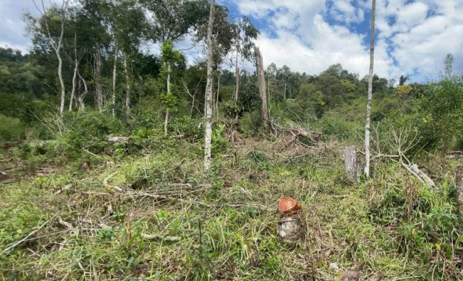 Fiscais do Instituto Água e Terra (IAT) detectaram 245,42 hectares de vegetação nativa retirada ilegalmente e emitiram 167 Autos de Infração Ambiental no Sudoeste do Paraná
