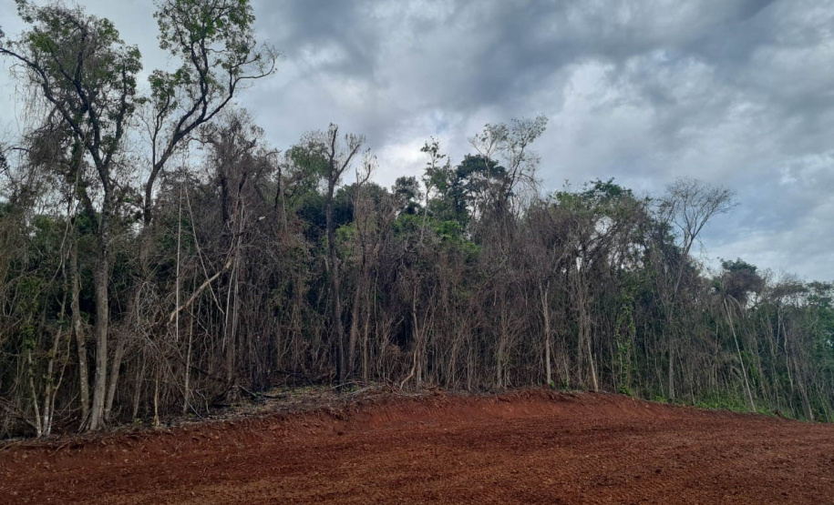 Fiscais do Instituto Água e Terra (IAT) detectaram 245,42 hectares de vegetação nativa retirada ilegalmente e emitiram 167 Autos de Infração Ambiental no Sudoeste do Paraná