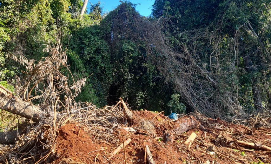Fiscais do Instituto Água e Terra (IAT) detectaram 245,42 hectares de vegetação nativa retirada ilegalmente e emitiram 167 Autos de Infração Ambiental no Sudoeste do Paraná