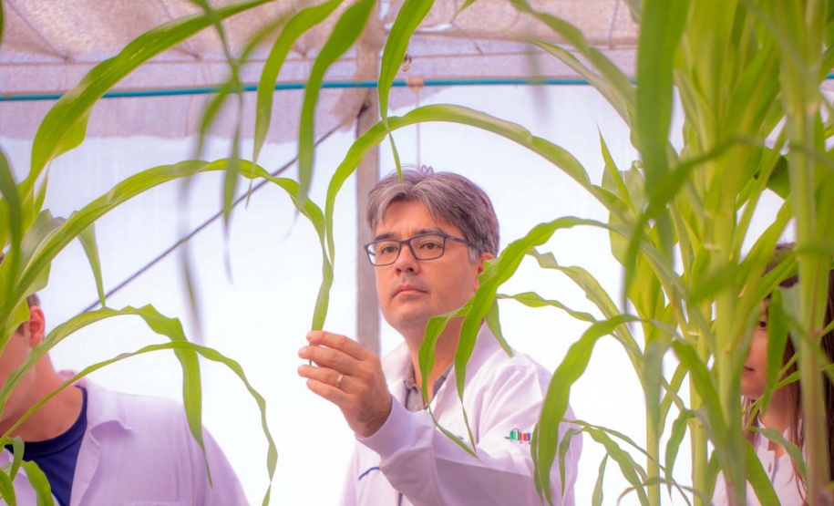 Universidades estaduais do Paraná conquistam cinco novos cursos de  pós-graduação