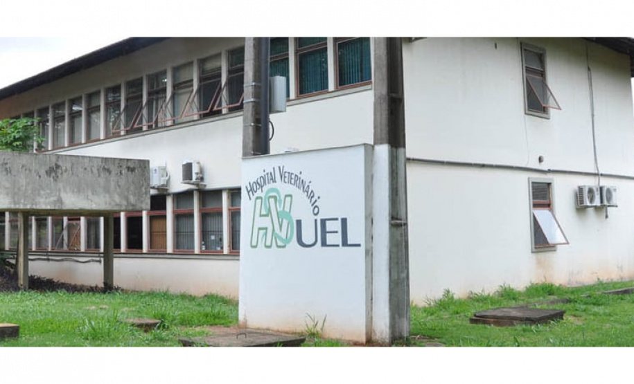 HV faz campanha de vacinação cobrando taxa de menos de R$ 64 neste sábado (24)