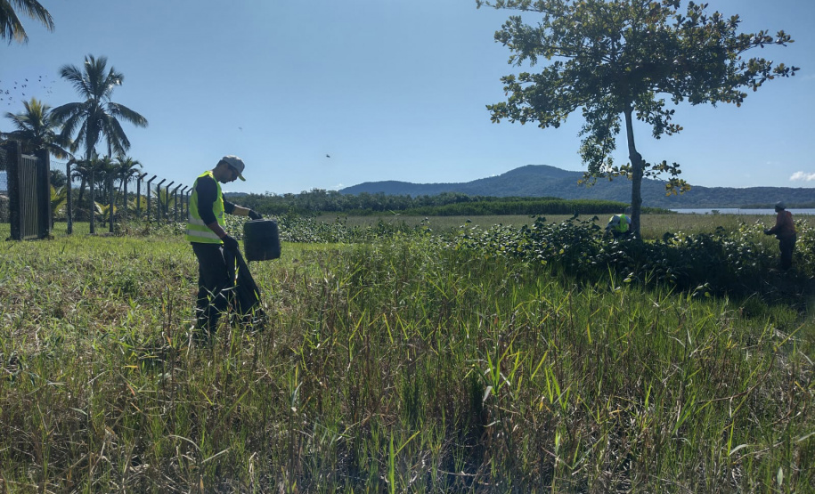 Alunos ajudaram a recolher mais de 2 toneladas de resíduos