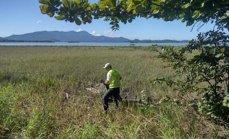 Alunos ajudaram a recolher mais de 2 toneladas de resíduos