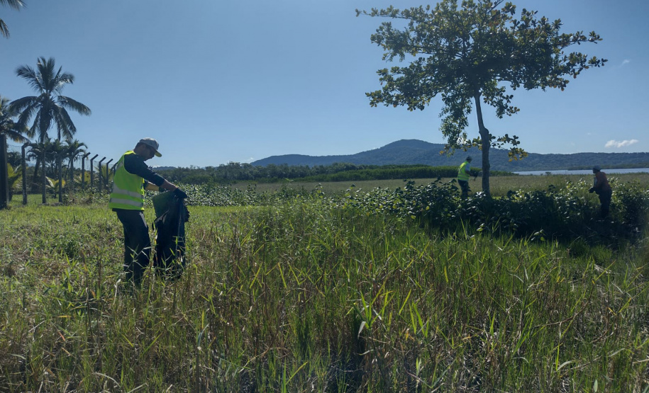 Alunos ajudaram a recolher mais de 2 toneladas de resíduos