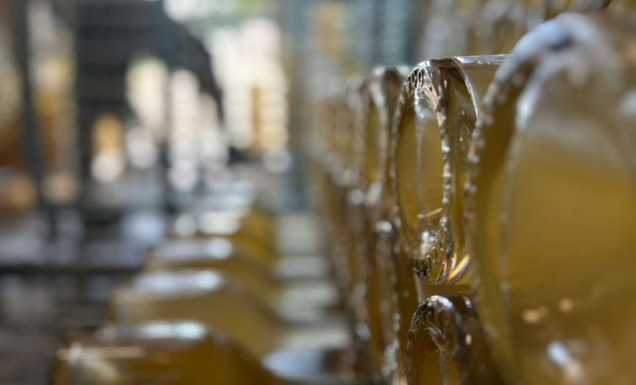 Invest Paraná na sexta missão internacional do ano, à Itália.