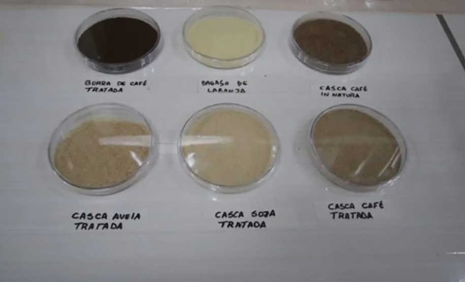 Pesquisadores desenvolvem ingredientes multifuncionais para alimentação e agricultura