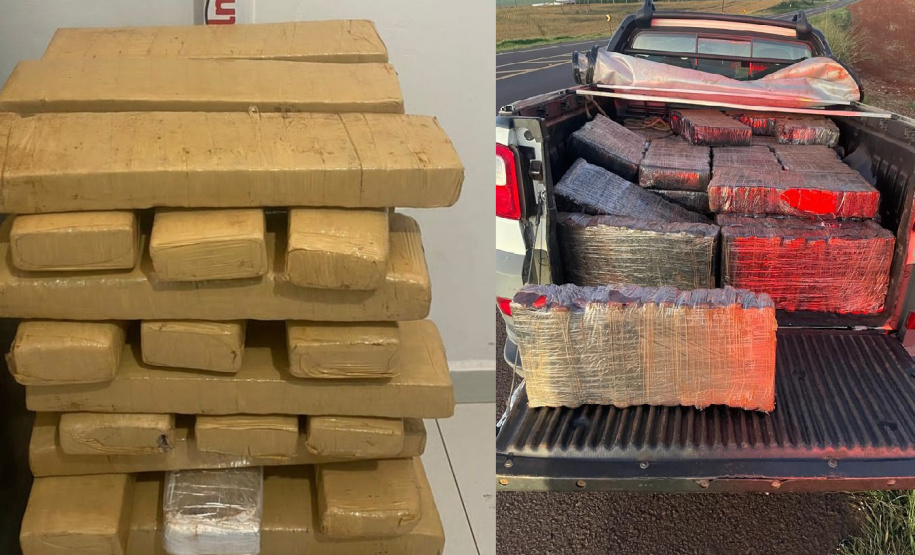 Polícia Militar apreende mais de 700 quilos de drogas em ocorrências distintas