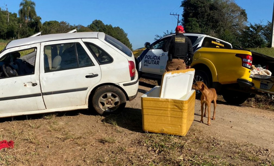 Polícia Militar apreende mais de 700 quilos de drogas em ocorrências distintas