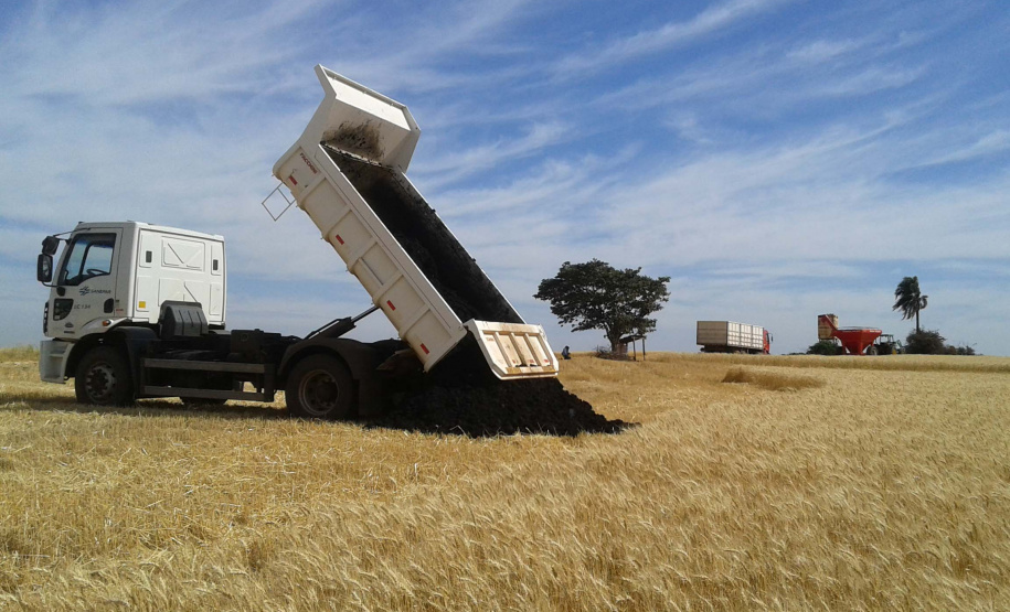 Aplicação de lodo cultura de trigo