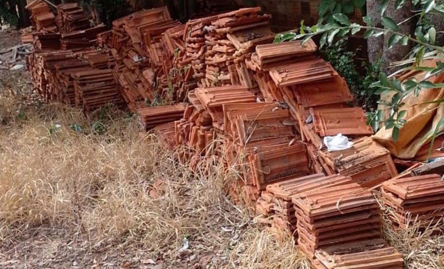 Captura de aranha-marrom garante produção de soro antiloxoscélico no Paraná