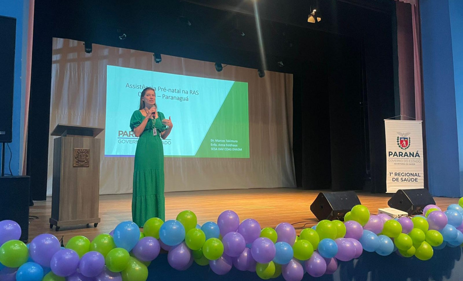 Estado capacita equipes multiprofissionais para a assistência pré-natal das gestantes