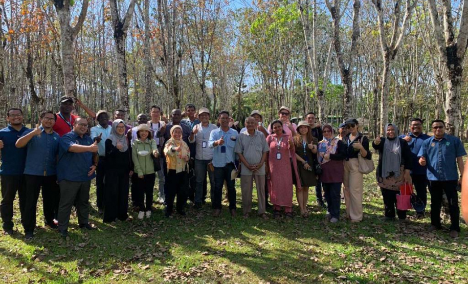 Unicentro desenvolve pesquisa sobre biodiesel de óleo da semente de seringueira