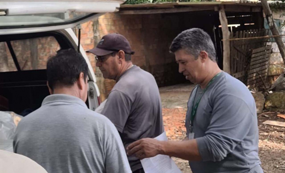 Captura de aranha-marrom garante produção de soro antiloxoscélico no Paraná
