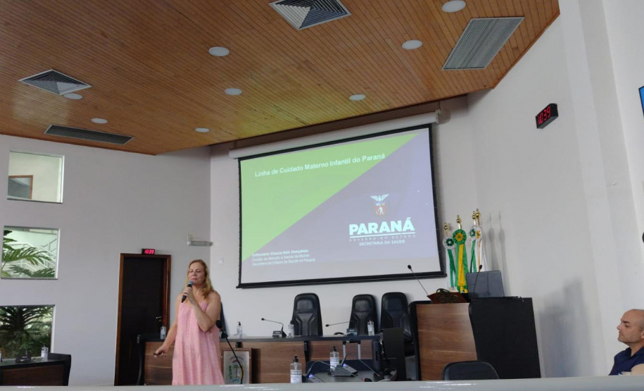 Estado capacita equipes multiprofissionais para a assistência pré-natal das gestantes