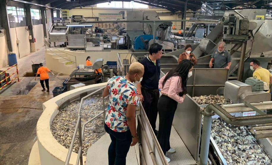 Unicentro desenvolve pesquisa sobre biodiesel de óleo da semente de seringueira