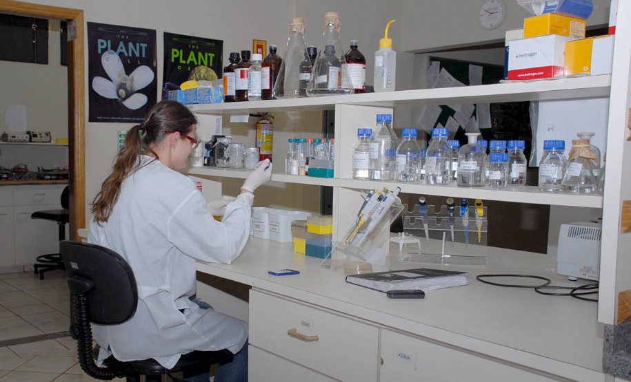 Dia da Ciência e do Pesquisador: IDR-PR destaca avanços da Ciência para a agropecuária