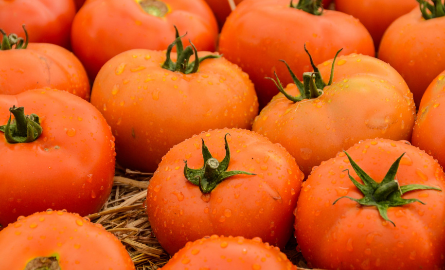 Índice de preços do IPARDES registra desinflação significativa em junho