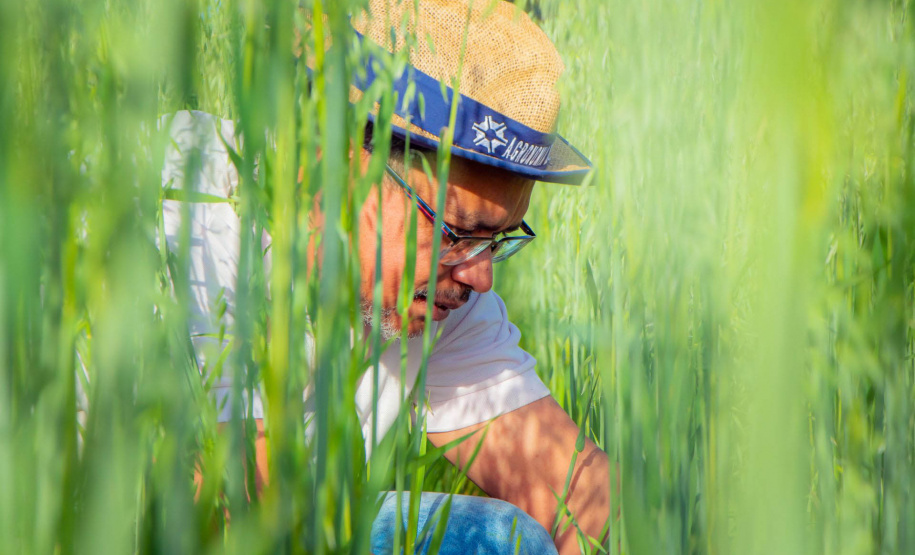 Fazenda Escola da UEPG reduz emissão de 400 toneladas de carbono por safra