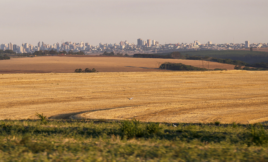 Delegacia da Receita Estadual de Cascavel destina R$ 217 milhões em créditos a cooperativas e empresas da região Oeste