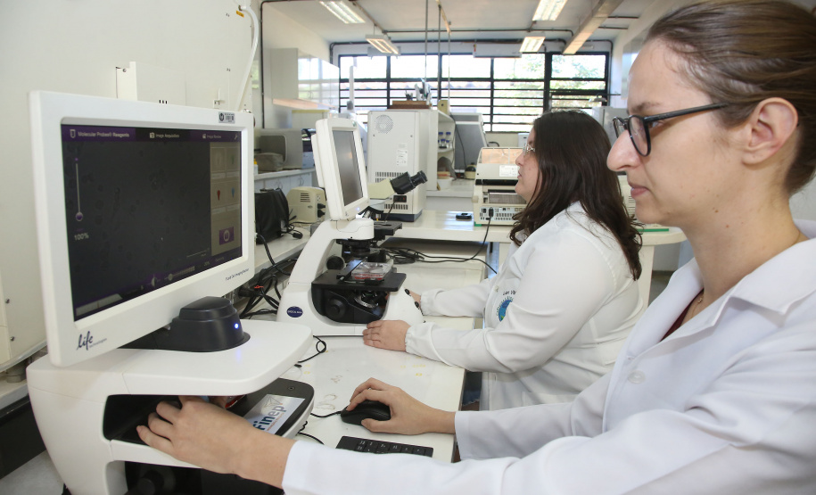 Capes autoriza mais seis doutorado nas universidades estaduais do Paraná