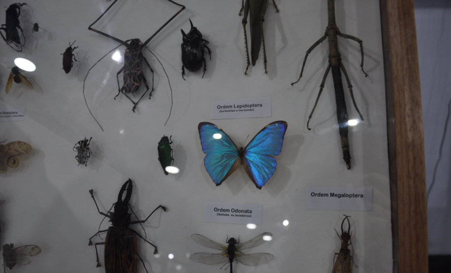 Governo do Estado apresenta ações de fomento científico e tecnológico  focadas na pesquisa