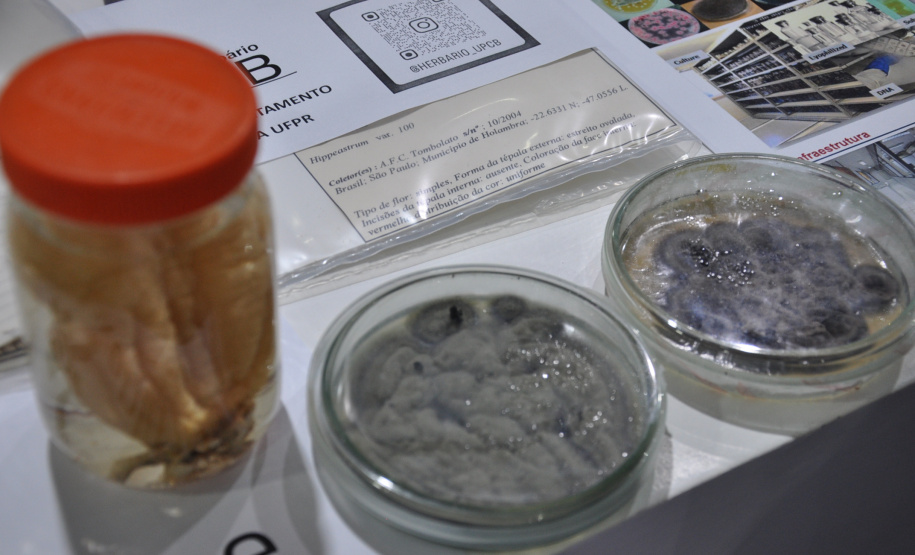 Governo do Estado apresenta ações de fomento científico e tecnológico  focadas na pesquisa