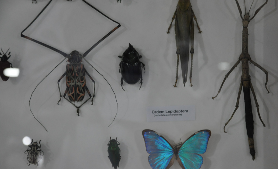 Governo do Estado apresenta ações de fomento científico e tecnológico  focadas na pesquisa