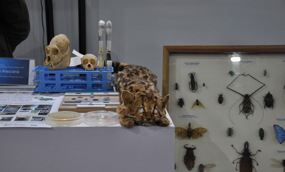 Governo do Estado apresenta ações de fomento científico e tecnológico  focadas na pesquisa